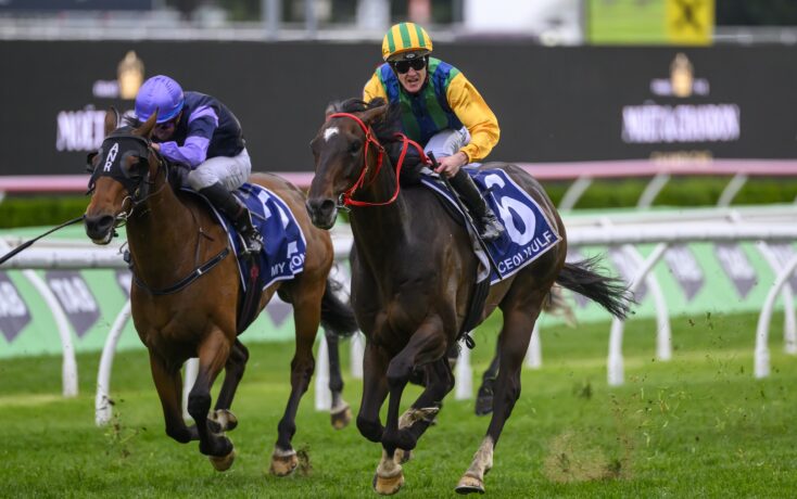 運動員膝蓋 運動員膝蓋