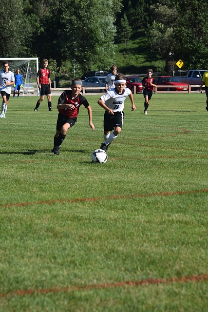 仅来源于平 仅来源于平