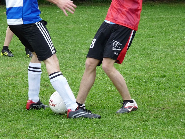 阿德莱德联 阿德莱德联