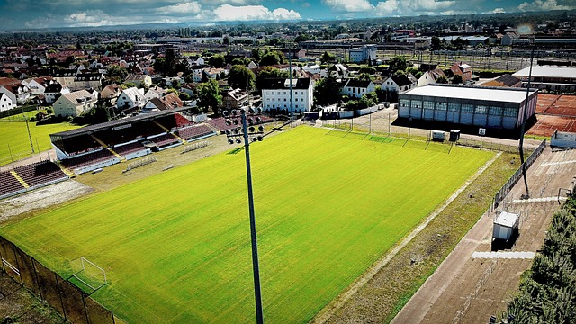 力求减少天 力求减少天